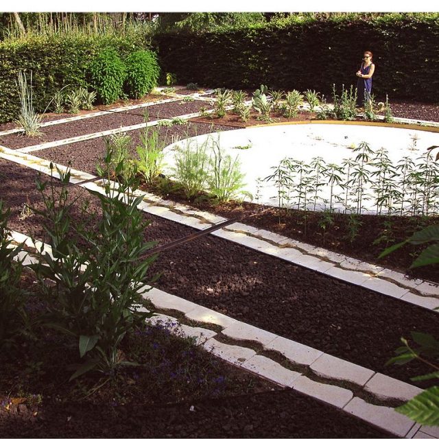 01_antonioperazzi_Spinaspacca