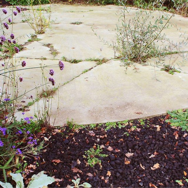 02_antonioperazzi_Spinaspacca