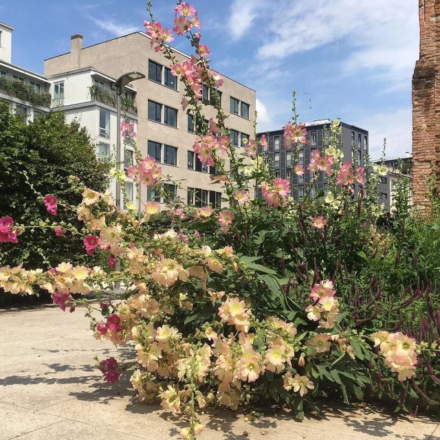 05_2 012 d58f0b94-def0-4f75-b539-5982d7ae4a07 2_JPG