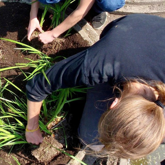 05_antonioperazzi_Wien