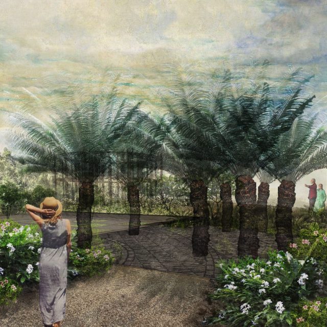 radice pura - vista piazza 1