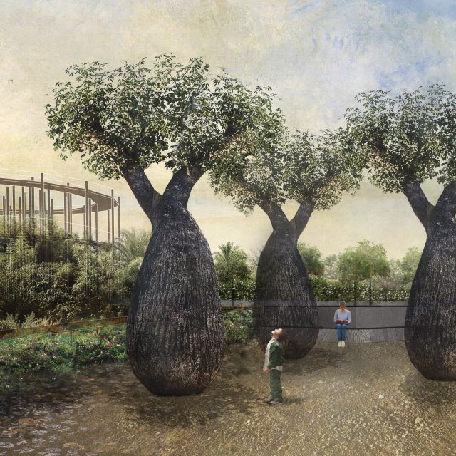 radice pura - vista piazza 3